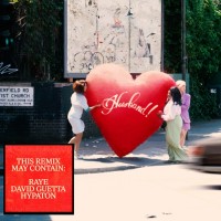 Where is my husband (remix)