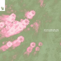 IF YOU WANT ME SAY IT