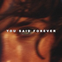 YOU SAID FOREVER