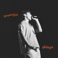 BEAUTIFUL THINGS