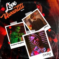 LOVE NWANTITI