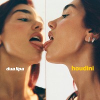 HOUDINI
