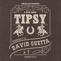 A BAR SONG (TIPSY)