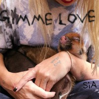 GIMME LOVE