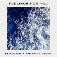 FEELINGS FOR YOU
