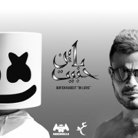 BAYEN HABEIT 2018