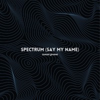 Spectrum (Say my name)